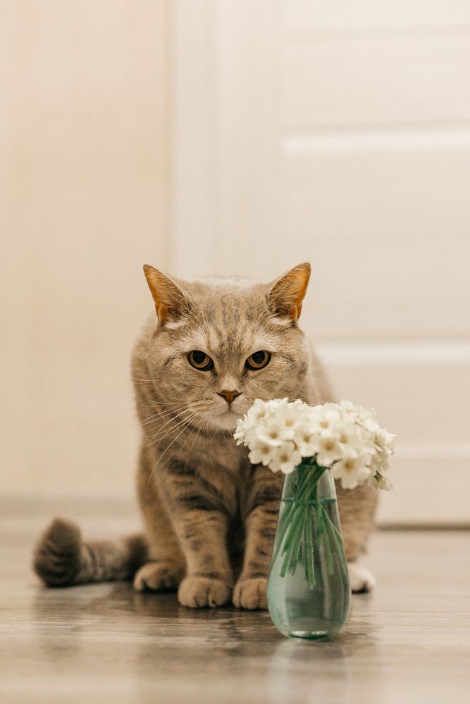 Photograph by Пронина Оля