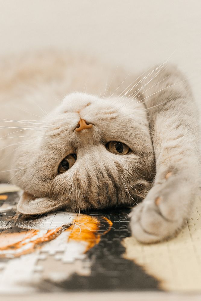 Photograph by Пронина Оля