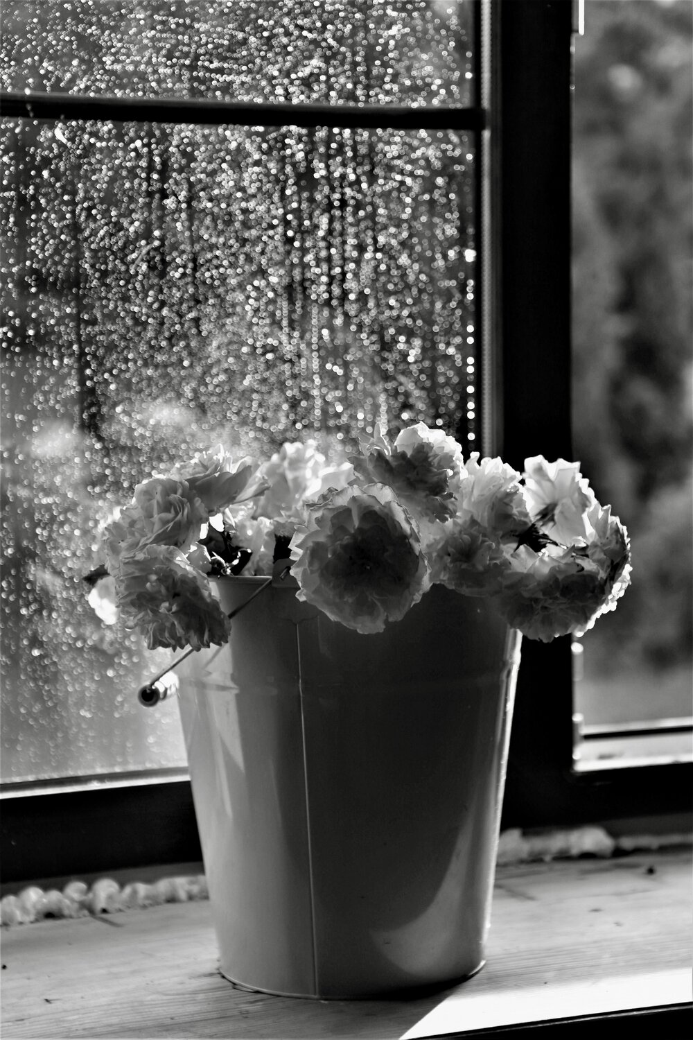 Photo #13576351