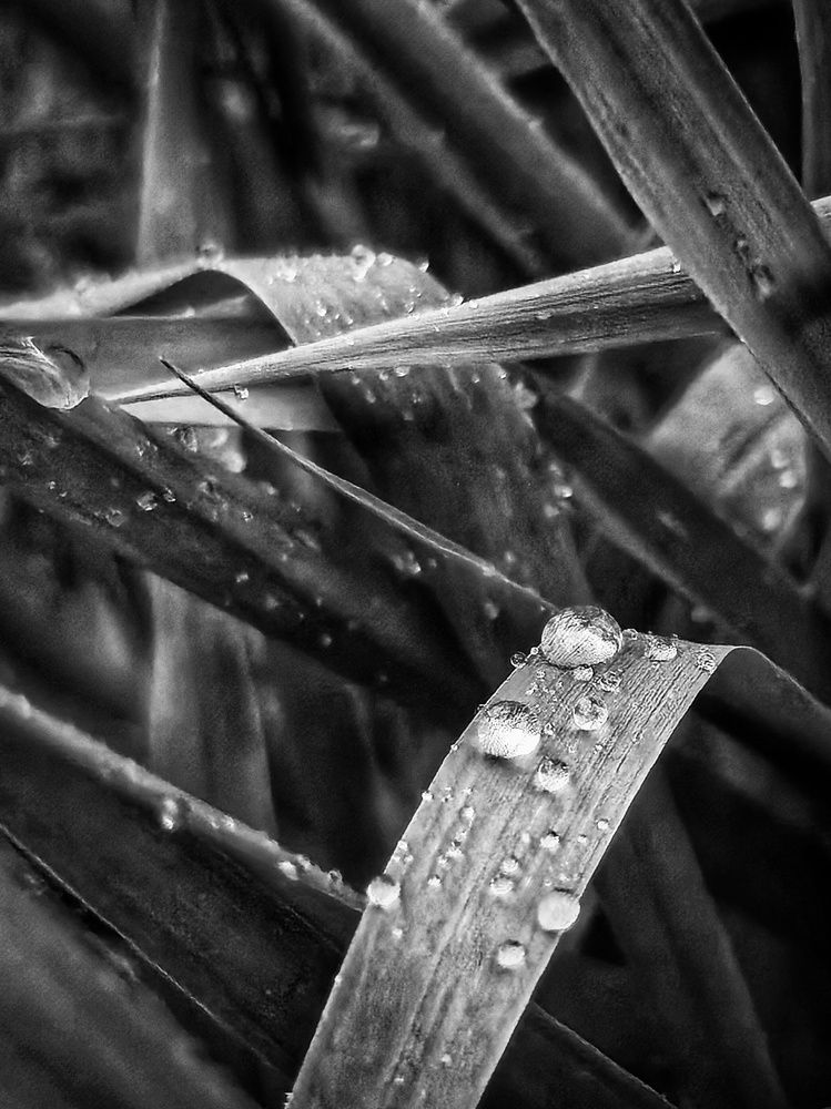 Photograph by Кристина Зыкова