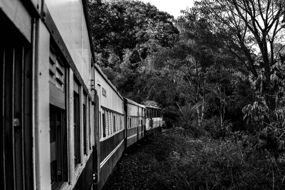 Photograph by savitri Rawat