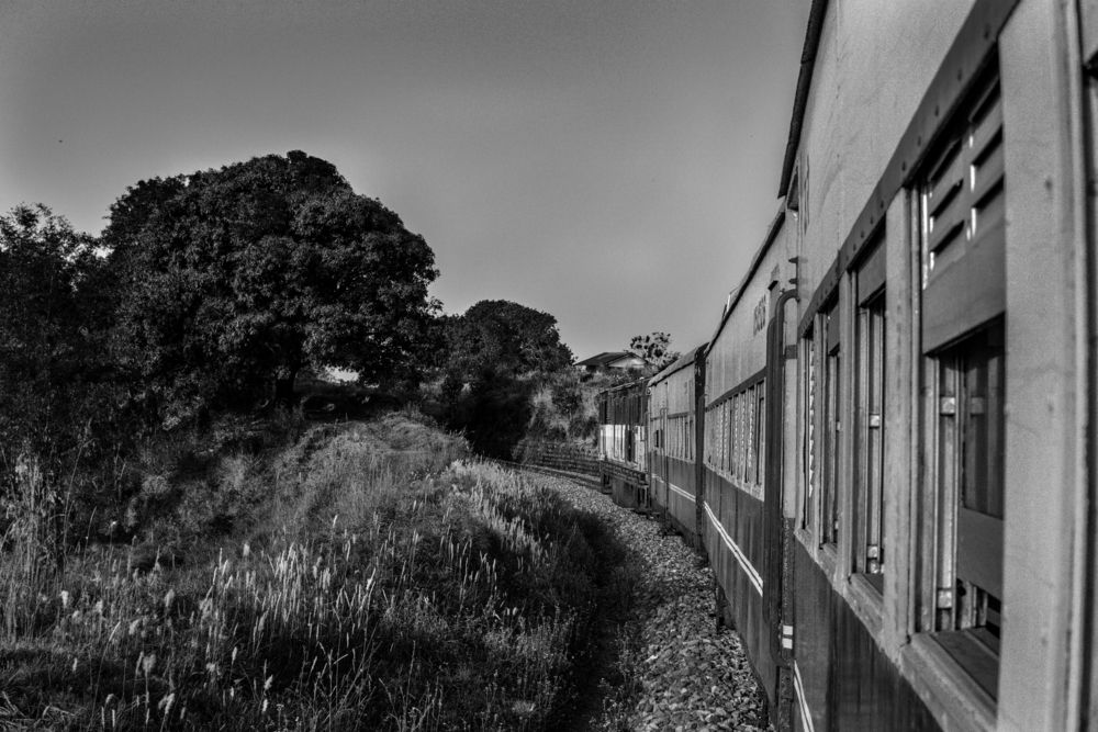 Photograph by savitri Rawat
