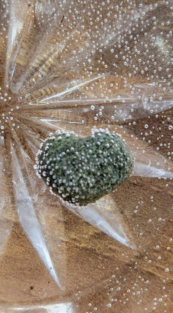 Photograph by Lilit Petrosyan