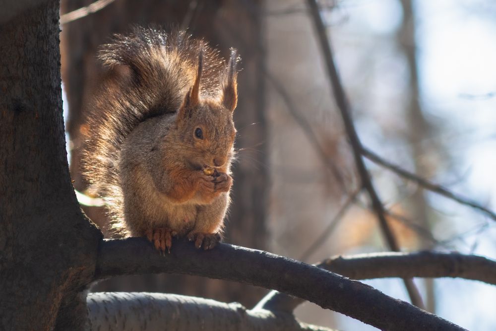 Photograph by Ильшат Абдуллин