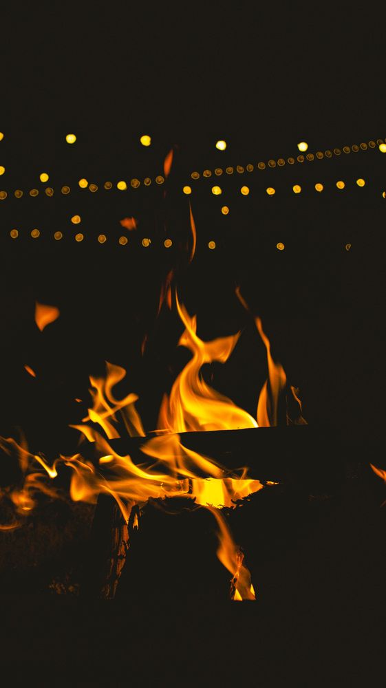 Photograph by Parsa Mohammadinejad