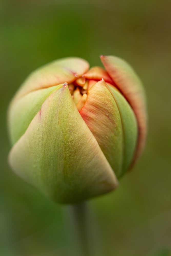 Photograph by Мария Данилина