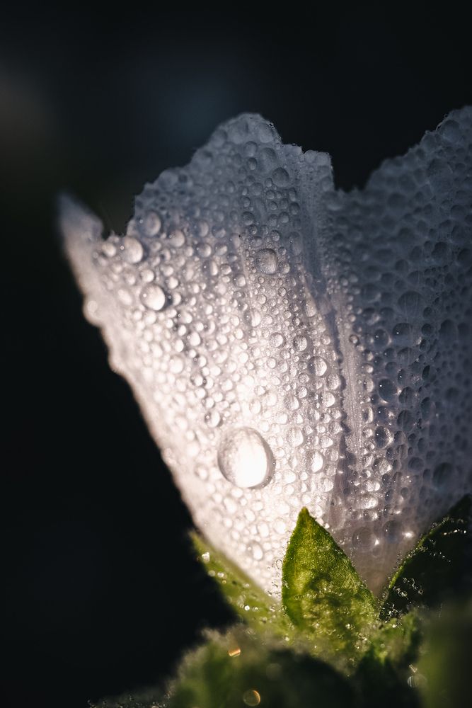 Photograph by Соболева Юлия