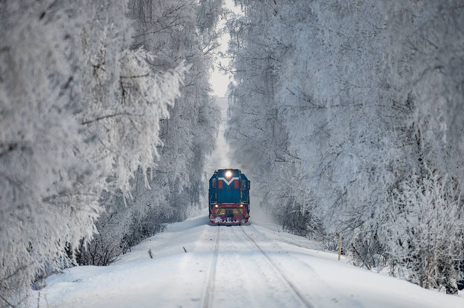 Зимняя сказка