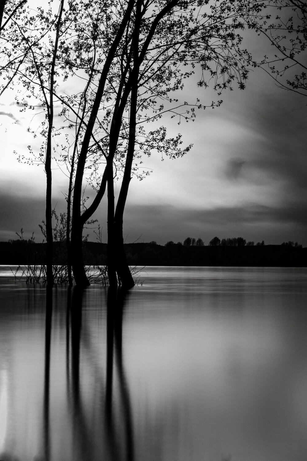 Photo #13577317