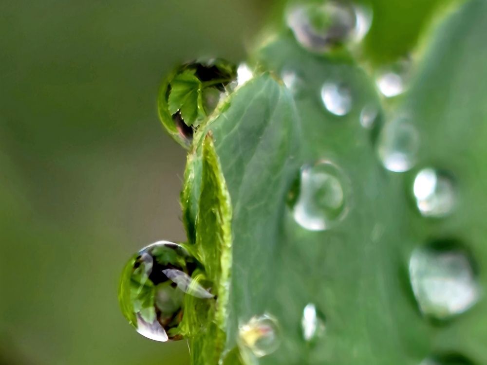 Photograph by Куделенко Оксана