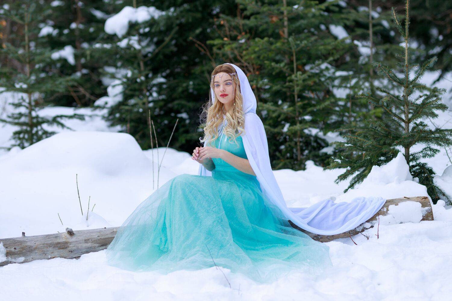 Photo #13577642