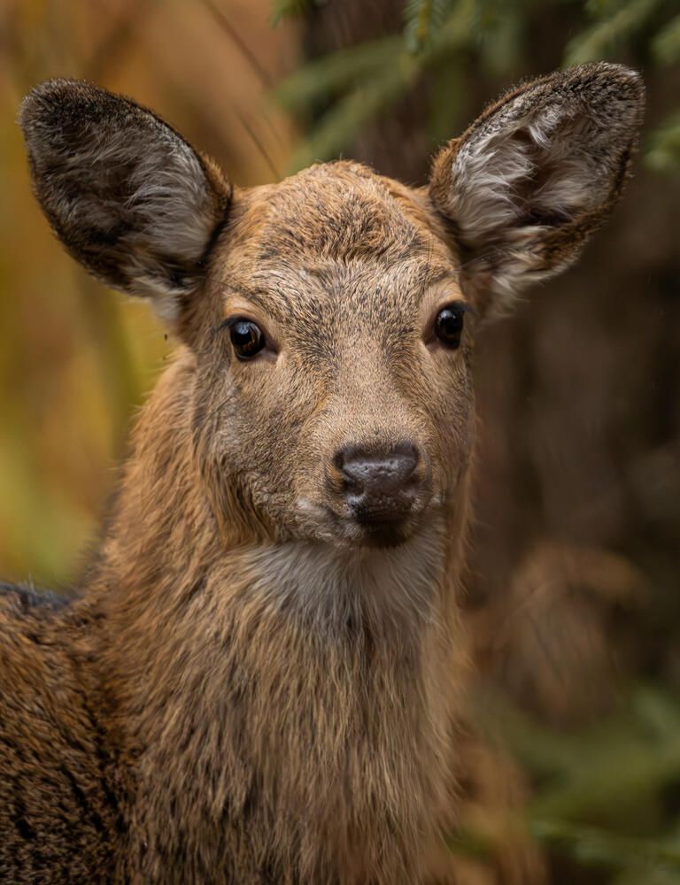 Photograph by Александр Белов