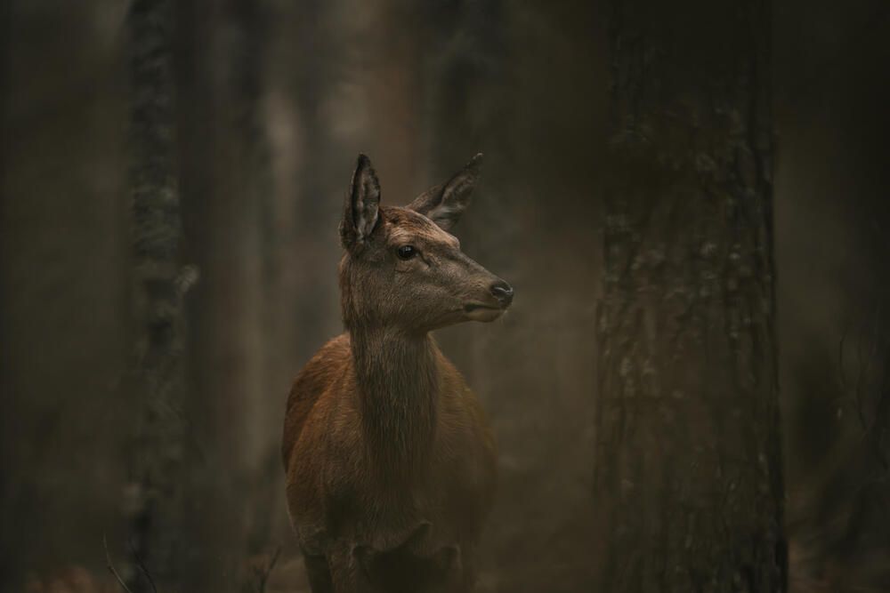 Photograph by Александр Белов