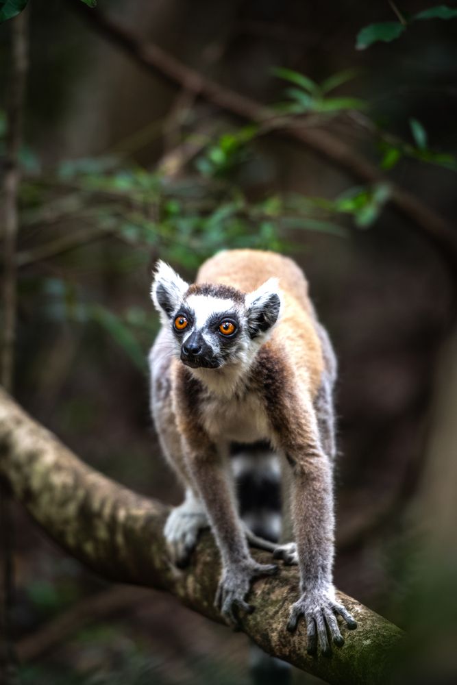 Photograph by Ismail Hassanaly