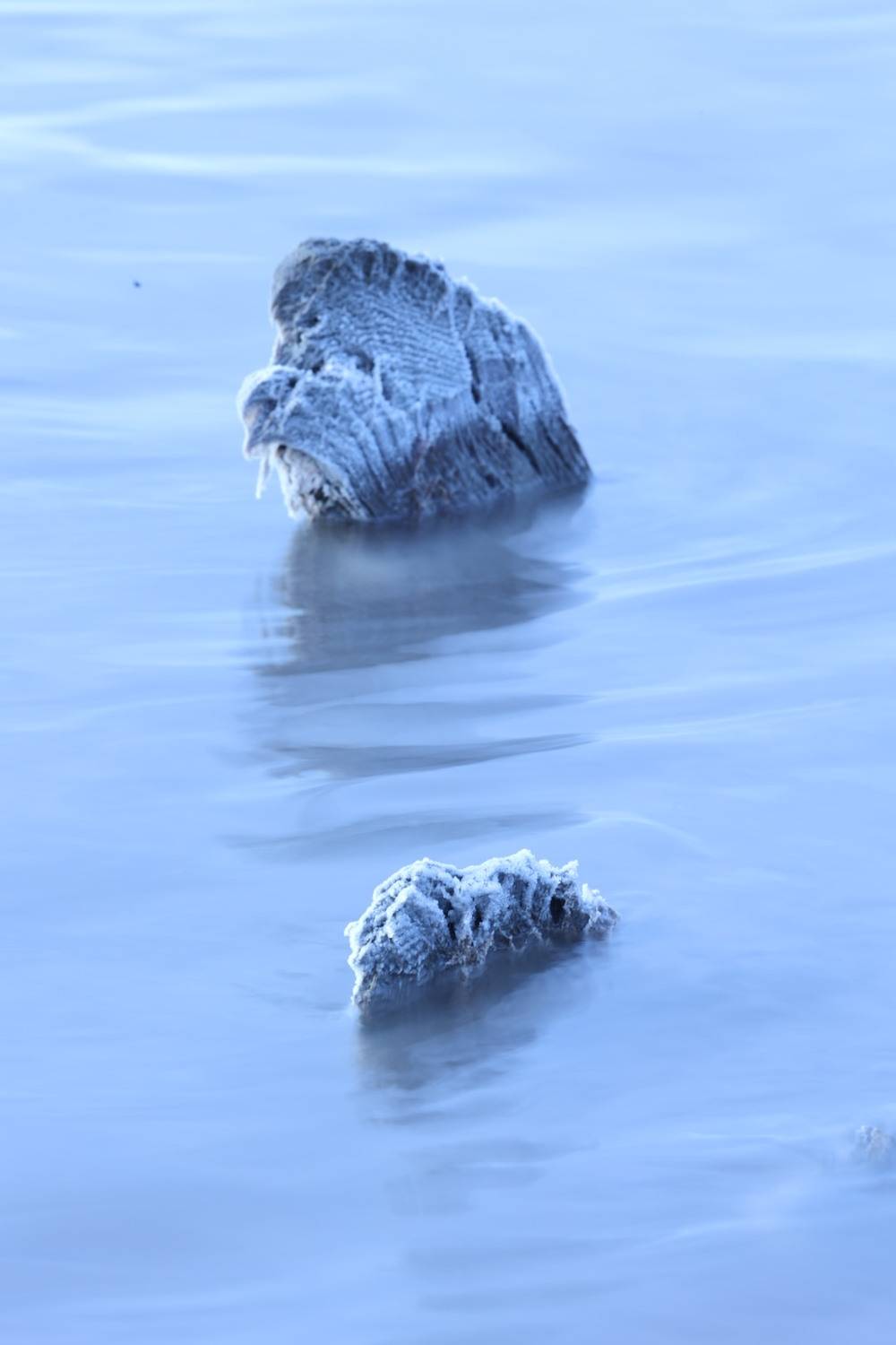 Photo #13577767