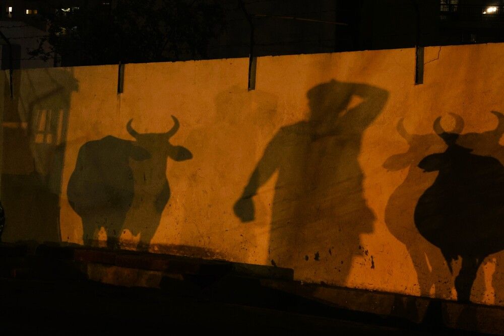 Photograph by G GOVIL