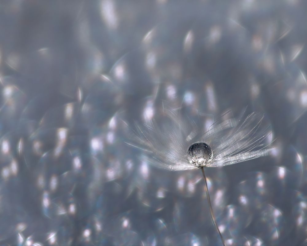 Photograph by Ворожцова Марина