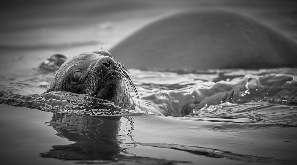 Фотография автора Boris Bekelman