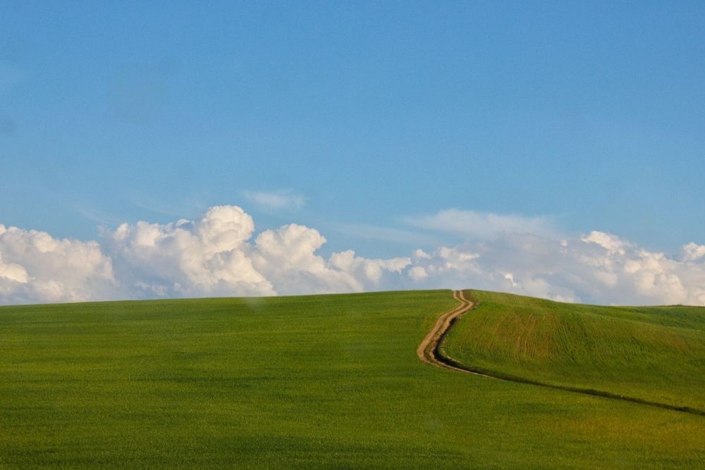 Xp