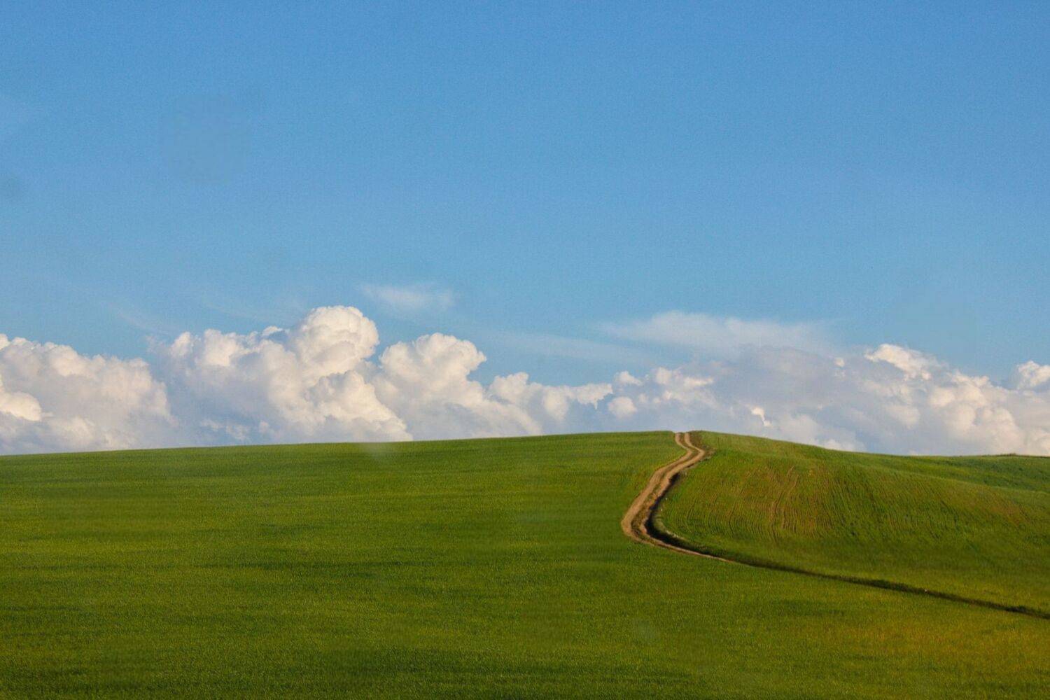 Xp