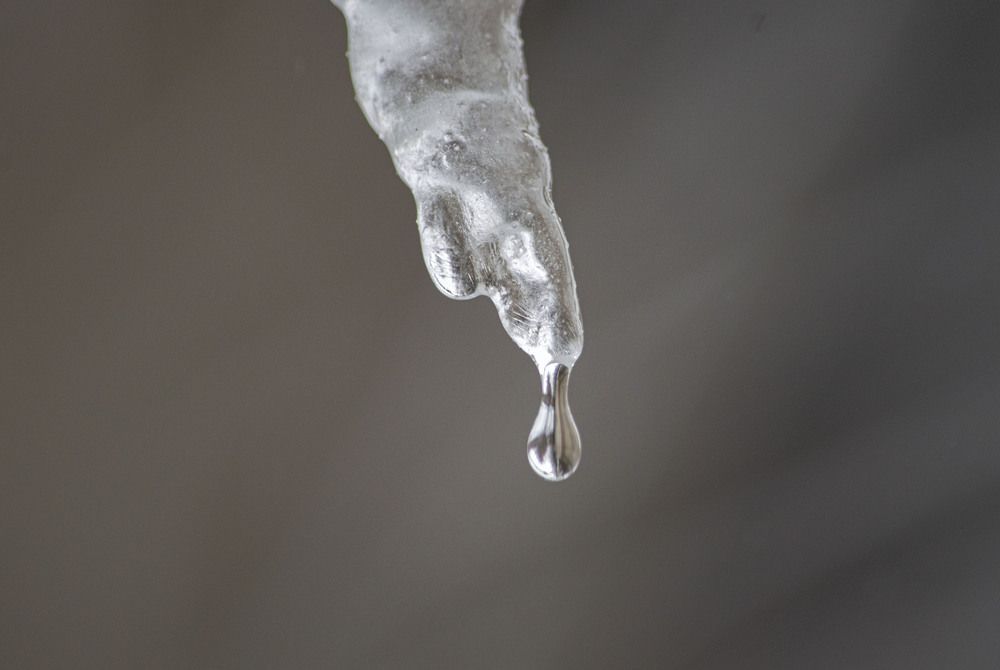 Photograph by Алексей Сиваков
