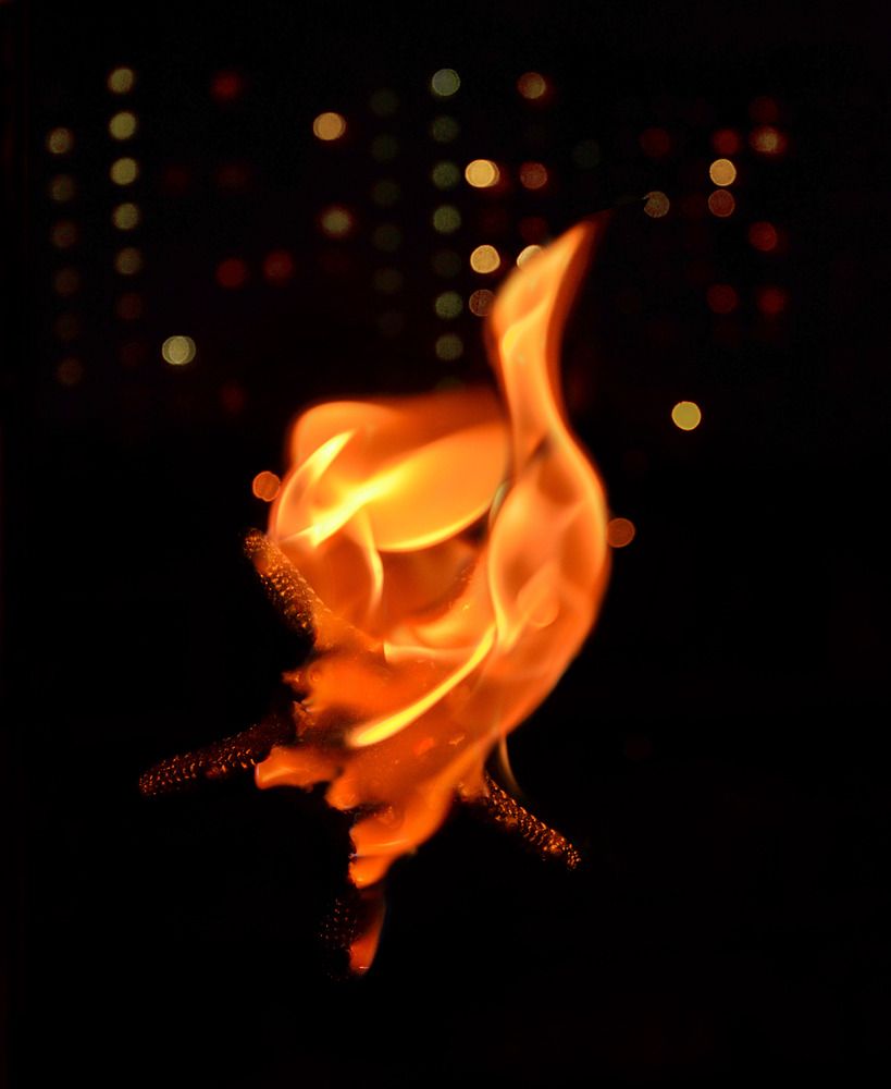 Photograph by Константин Мишнаевский