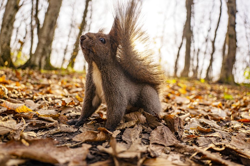 Photograph by Виктор Зотов