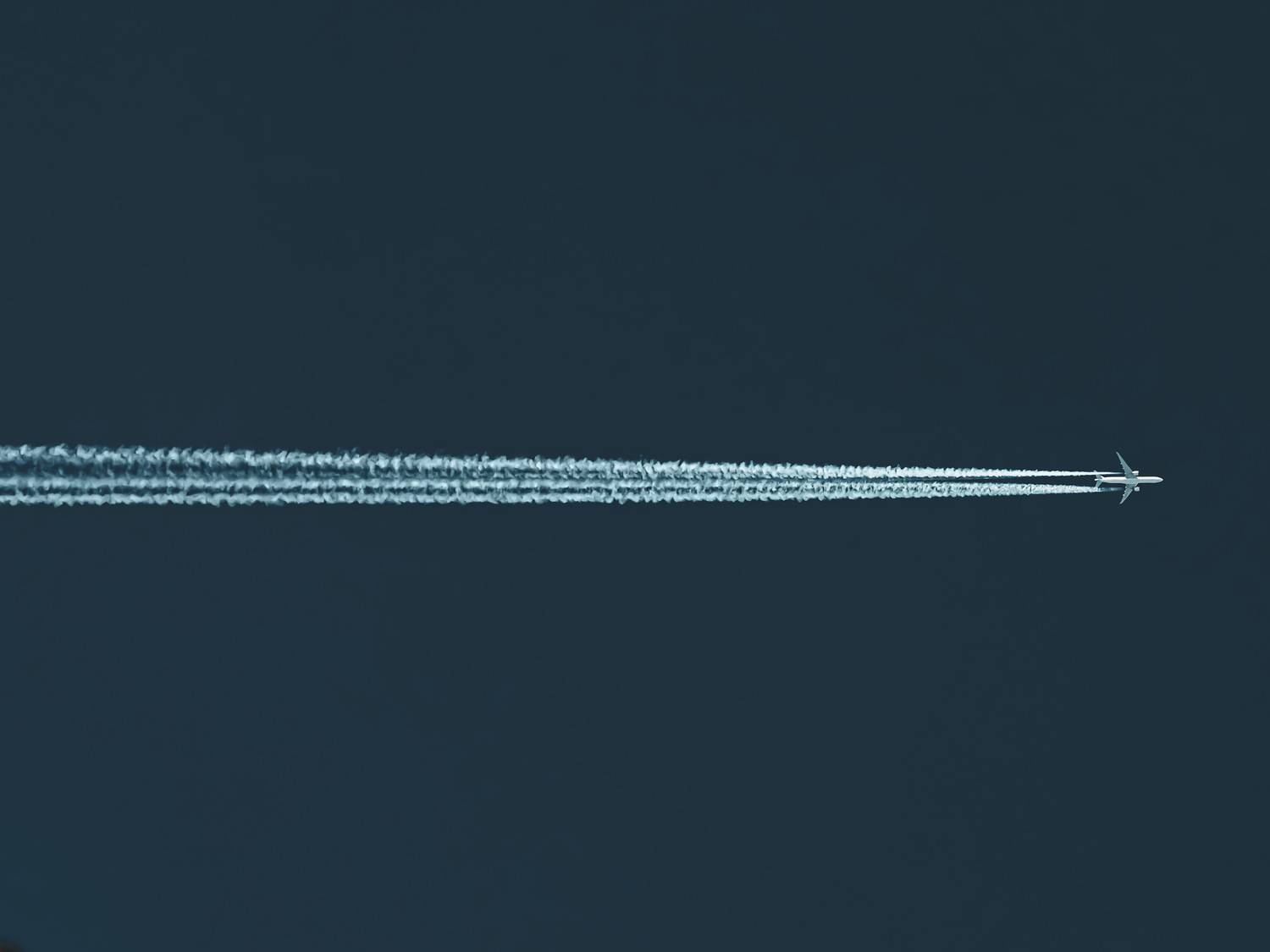 Photo #13578451