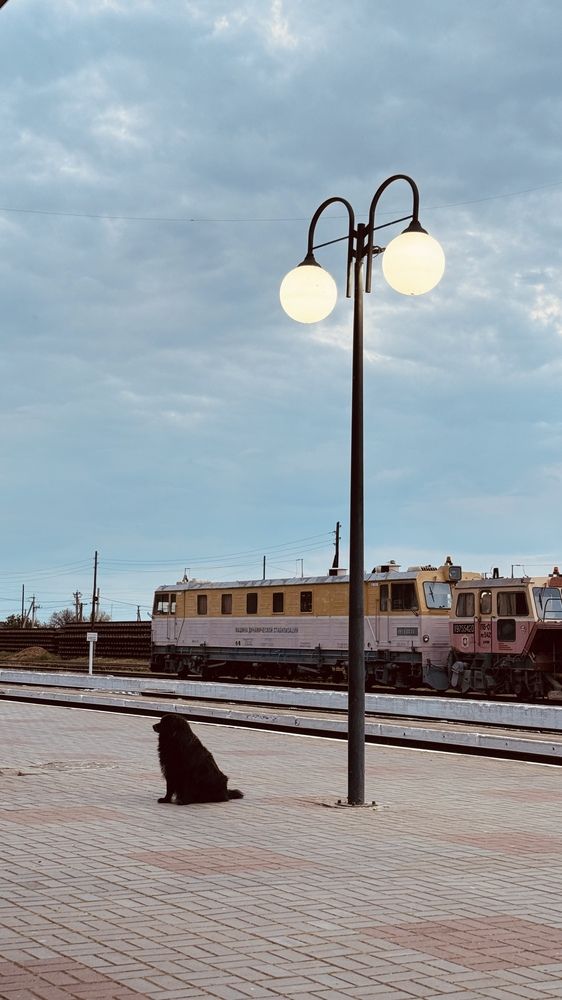 Photograph by Алексей Гильберт