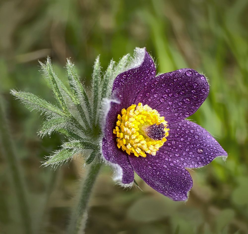 Photograph by Татьяна Мишустина