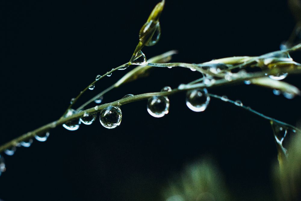 Photograph by Максим Светличный