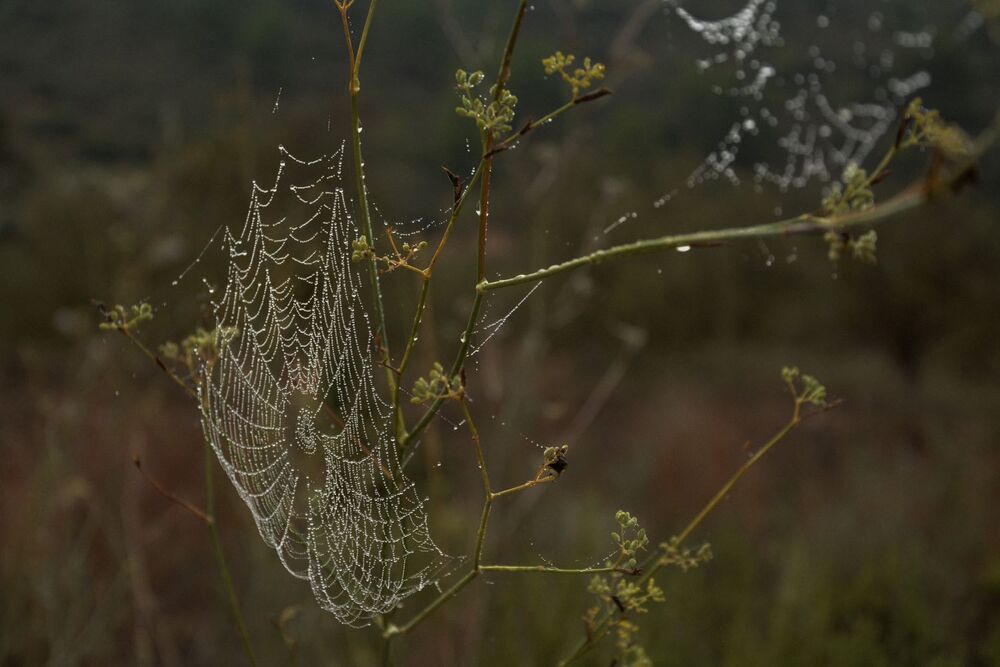 Photograph by Alyona Sorokina