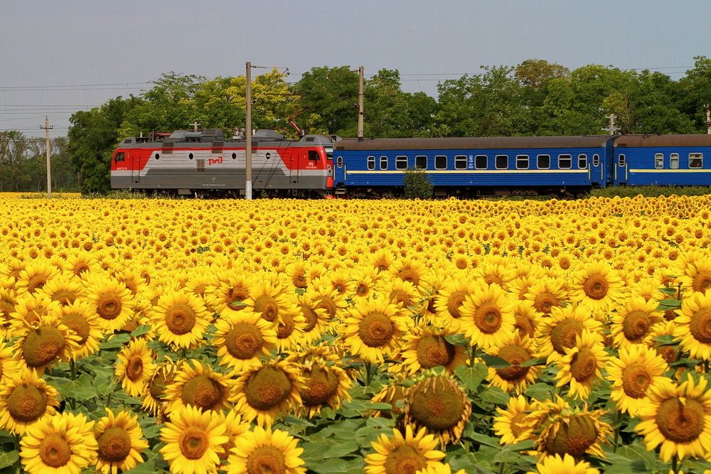 Photograph by Александр Челмодеев