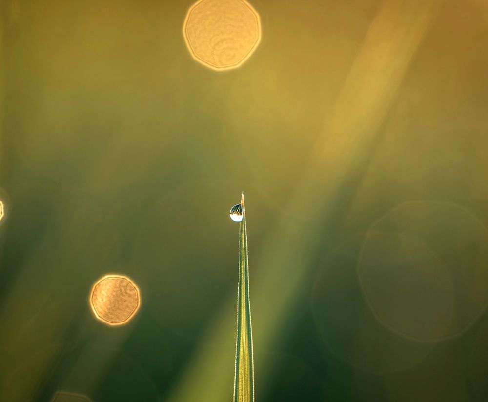 Photograph by Ворожцова Марина