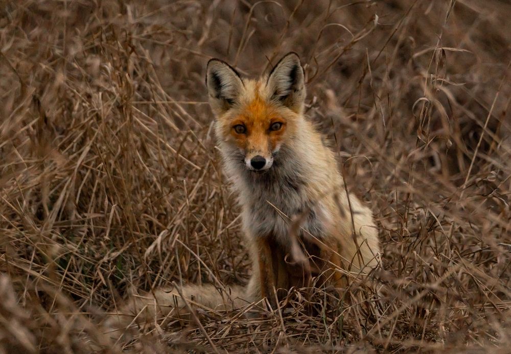 Photograph by Владимир Коновалов