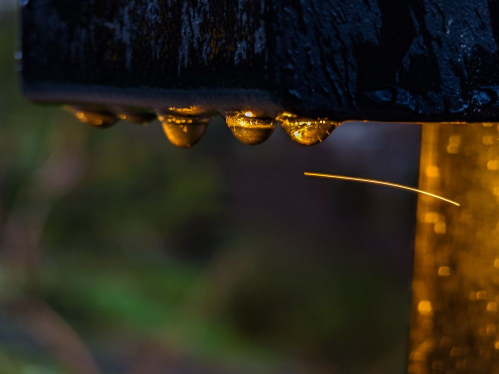 Photograph by Терещенко Евгений