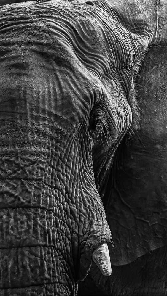 Photograph by Naman Vishwajeet