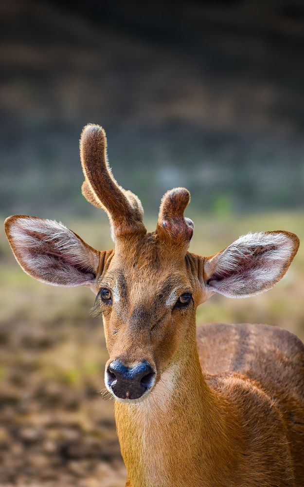 Photograph by Naman Vishwajeet