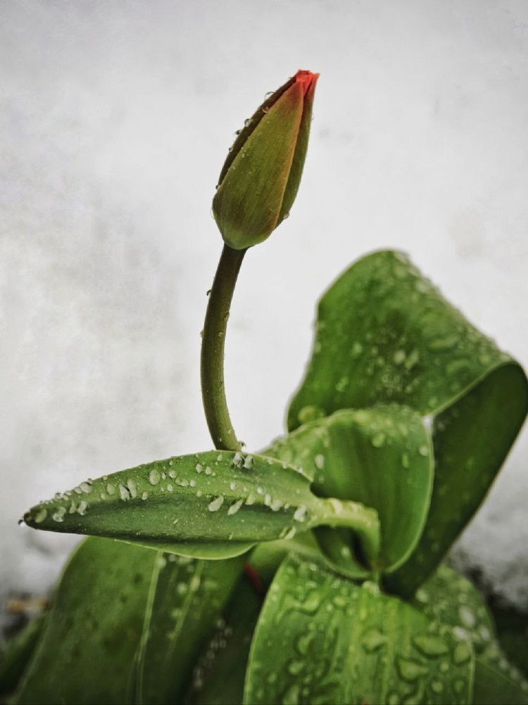 Photograph by Наталья Фирсова
