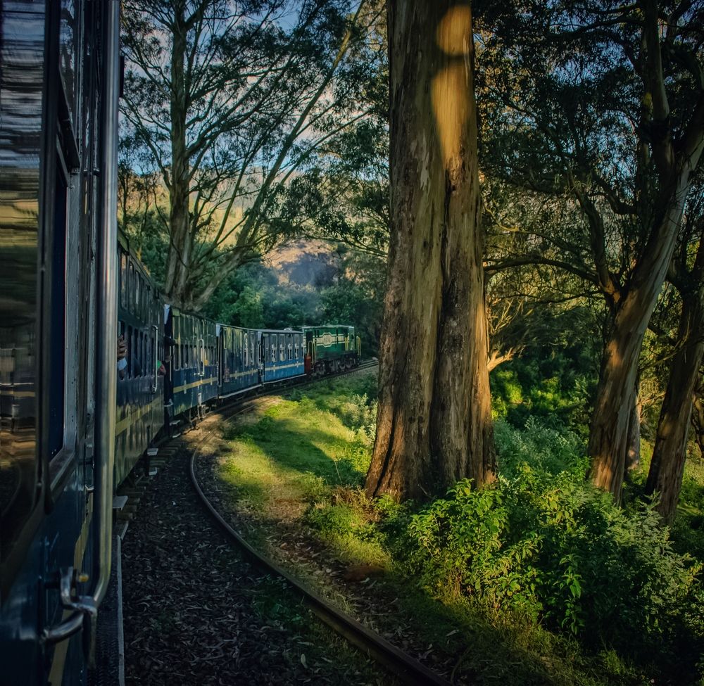 Photograph by Somya Dhariwal