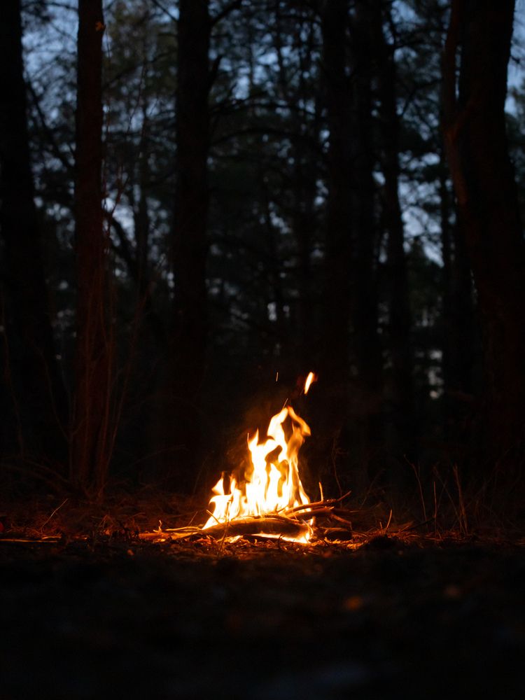 Photograph by Alina Orlova