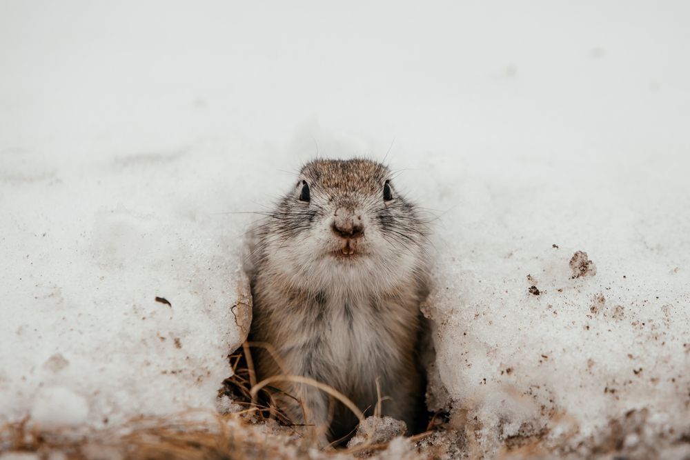 Photograph by Корчагина Оксана