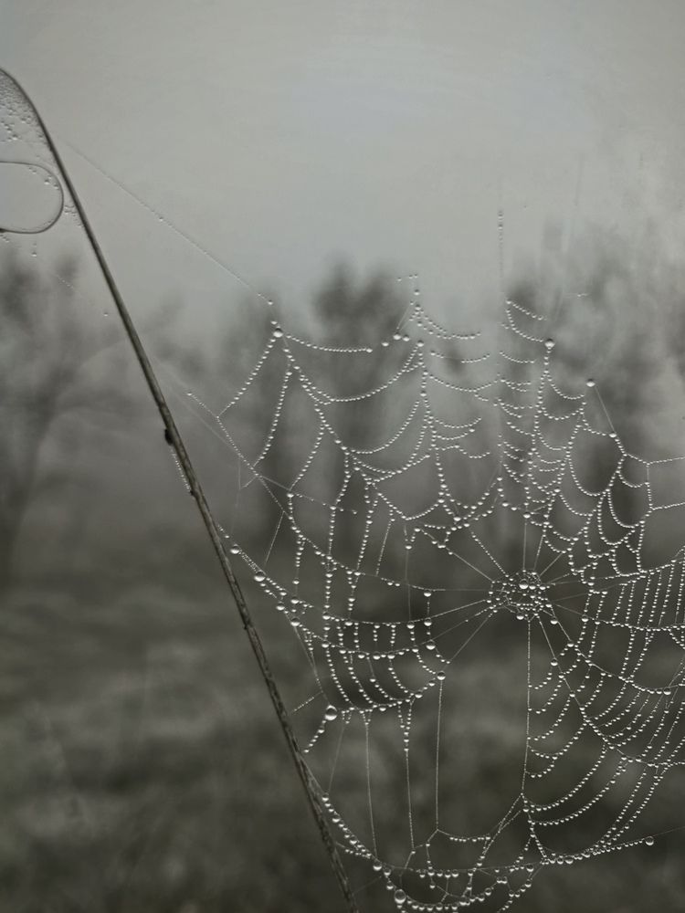 Photograph by Татьяна Семёнова