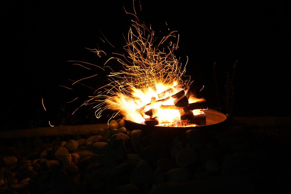 Photo #13579859