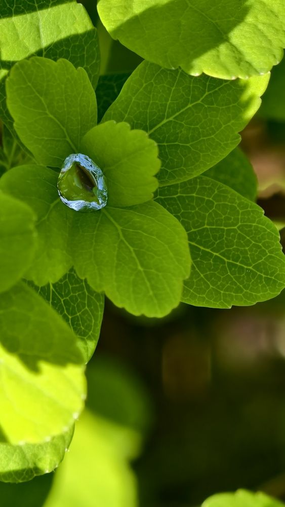 Photograph by Валерия Горезина