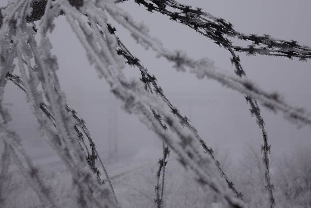 Photo #13579943