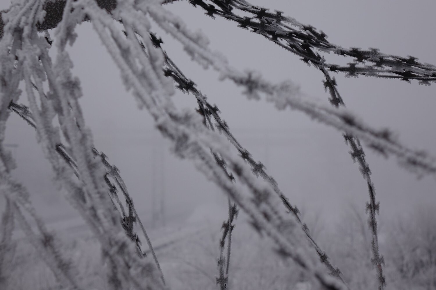 Photo #13579943
