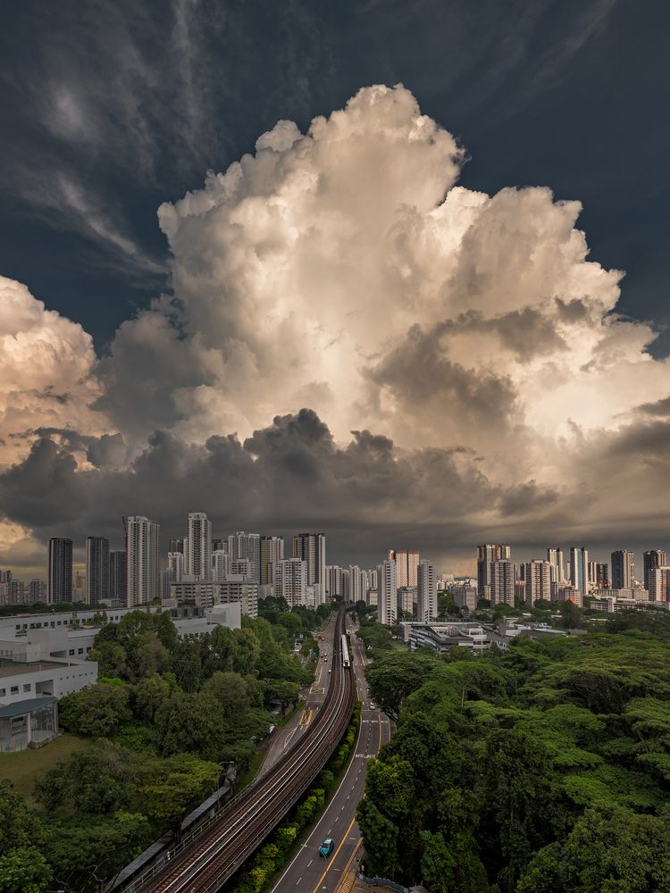 Photograph by WANG QIAN