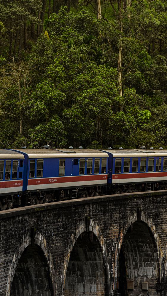 Photograph by Vinuki Perera