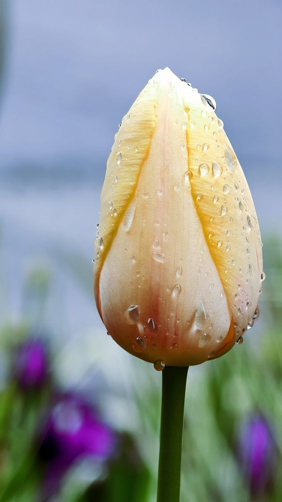 Photograph by Елена Кадаева